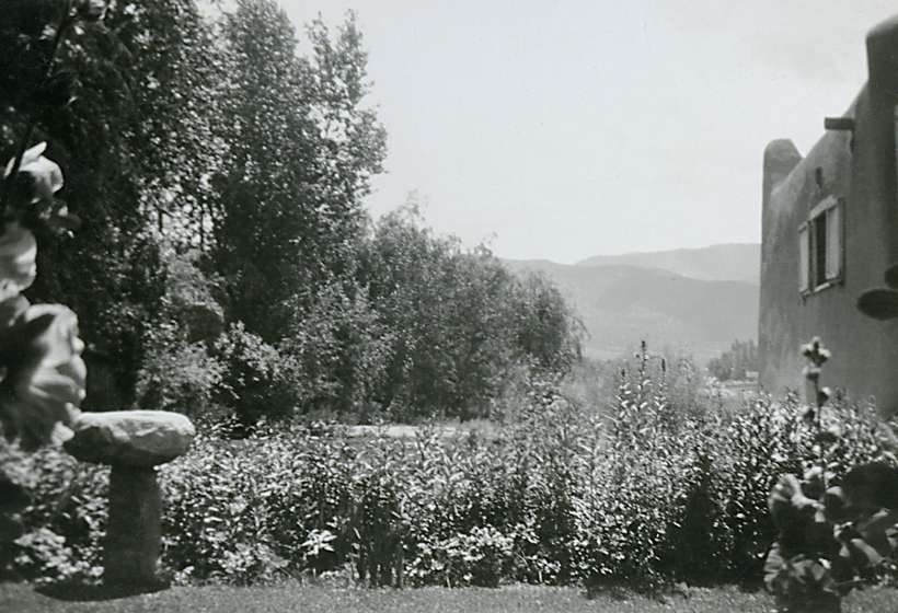 Vintage photo of Sharp’s garden on Kit Carson Road looking east, 1920s.