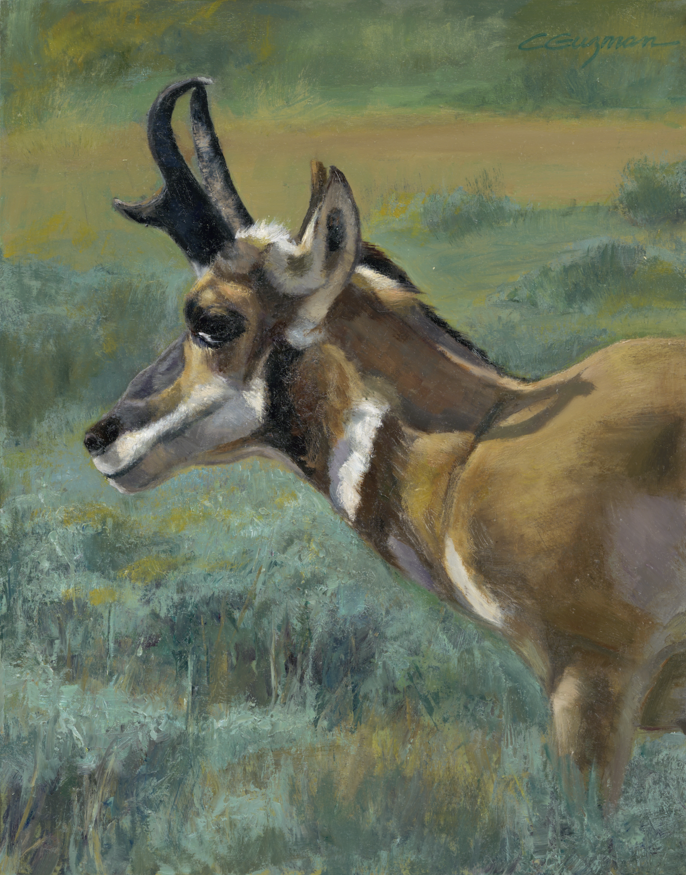 Carol Guzman | Pronghorn | oil on linen | 14 x 11 | Starting Bid $1000, Buy it Now Price $1400